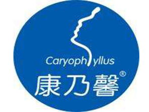 康乃馨產(chǎn)后恢復(fù)加盟投資解析 總投資14.8萬(wàn)元起，加盟費(fèi)用詳解與咨詢指南